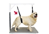 Picture of Show Tech Comfort Bellyband for Big Dogs